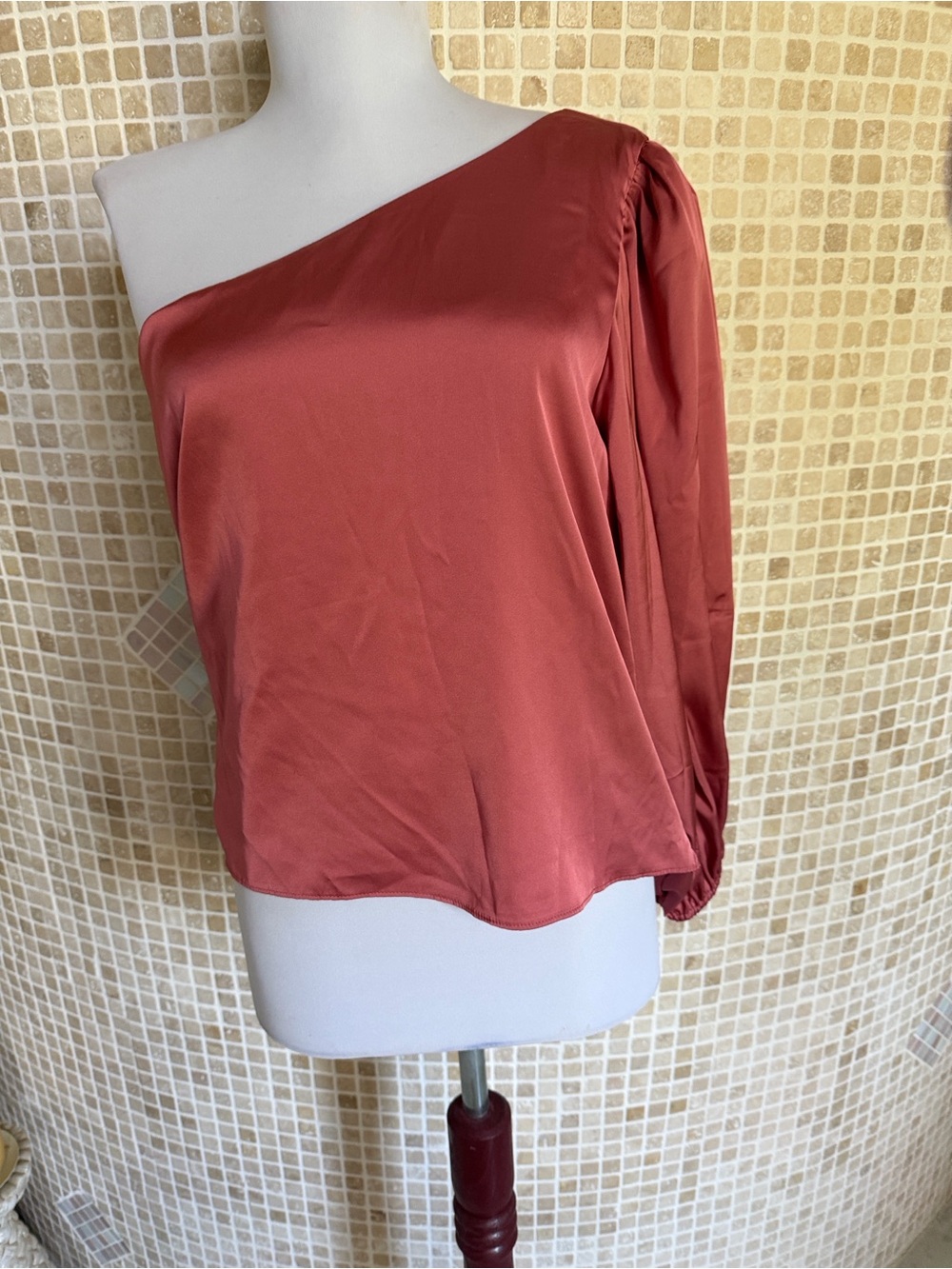 Express One-Shoulder Satin Blouse in Rust